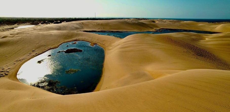 BG Sobre Nos - Bora Dronar